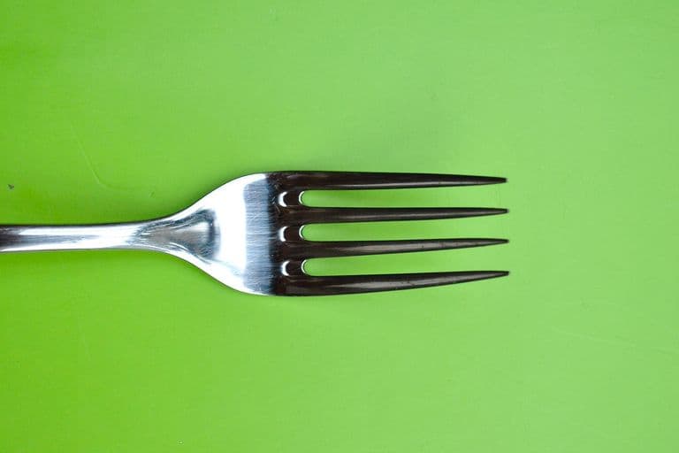 empty fork 1